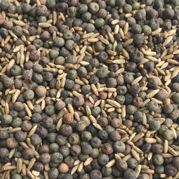 TillageMix Álmos